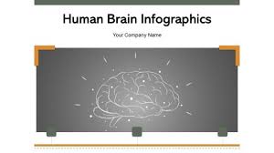 human brain anatomy powerpoint
