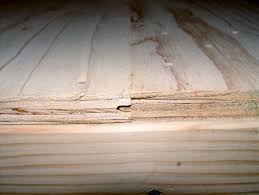 expansion gaps in new plywood suloor