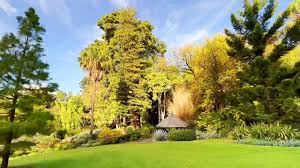 the royal botanic gardens melbourne