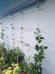 diy green wall cable trellis kit cable