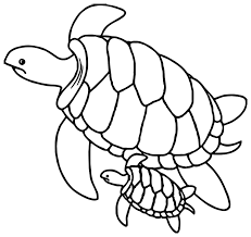 Illustration d'une tortue brin dans une île sur un fond blanc. Coloriage De Tortue A Imprimer Coloriage De Tortues Coloriages Pour Enfants