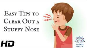 easy tips to clear out a stuffy nose