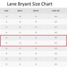 Lane Bryant Striped Tie Dye Dolman Tee Shirt 18 20 Nwt
