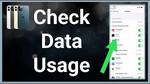how to check iphone data usage you