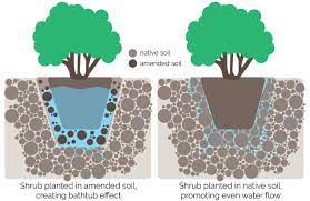 amend your soil when you plant