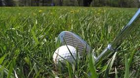 can-you-move-grass-behind-your-golf-ball