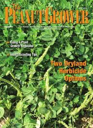 See more of easyblog themes on facebook. Peanut Grower May 2018 By One Grower Publishing Issuu