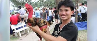 Jumat, 06 maret 2020, sabung ayam bangkok merupakan pertarungan sabung ayam yang biasanya diikuti oleh perjudian yang dilakukan tidak jauh dari arena sabung ayam. Sabung Ayam Vietnam Archives Berita Jadwal Sabung Ayam Online S1288 Sv388 Sm558