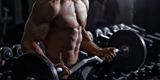 best workout routine to get big biceps