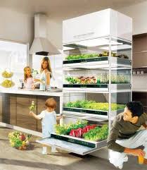 Indoor Hydroponic Systems The Perfect