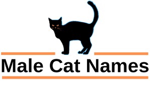 Inspired by my time in hawaii! 200 Cat Puns Most Usable Cat Pun Names Cat Names Jokes