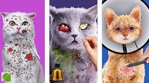 cat asmr salon makeover android