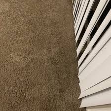 eco green carpet cleaning 39 photos