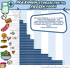 How Long Can You Store Food In The Freezer Infographic