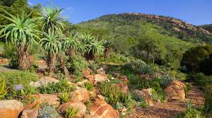 walter sisulu national botanical garden