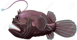 Deep Sea Anglerfish Isolated On White Vector Illustration