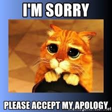 Please accept my sincere apology for being absent to attend my interview with you. I M Sorry Please Accept My Apology Puss In Boots Eyes 2 Meme Generator