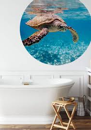 Turtle On Travel Wall Mural 5505 R