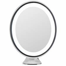 Pro makeup artist, esthetician, tattoo artist and celebrity favorites. Lightluxe 5x Lighted Magnifying Makeup Mirror W Bright Led Lights 36 Mirrorvana Inc