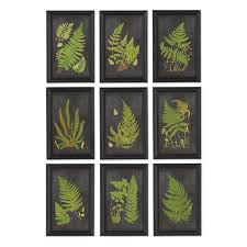 Framed Fern Botanical Prints Set Of 9