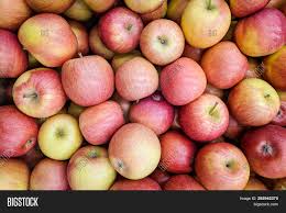 Fruit of the golden delicious apple tree (malus x domestica golden delicious) has sweet, yellow skin and is similar to fruit of the red delicious apple tree (malus x domestica red delicious). Red Yellow Apples Image Photo Free Trial Bigstock