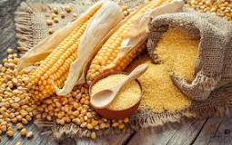 Does cornmeal raise blood sugar?