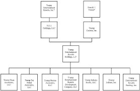 Post Effective Date Organizational Chart Of The Company And