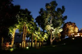 Shine Bright Seven Ideas To Help You Accent Your Trees With Outdoor Lighting