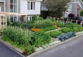 Vegetable Garden Design