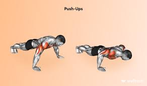 chest and shoulder workout for muscle