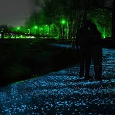 Dark Garden Pebbles Glow Stones