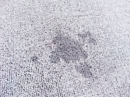 How To Dry Wet Carpet Dki