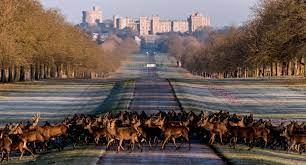 Visite a residência preferida da família real, o castelo de windsor. Castelo De Windsor Palco Do Casamento Real Visitbritain