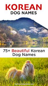 Check out these unique names inspired by chinese culture and the mandarin language. Korean Dog Names My Dog S Name Dog Names Pet Names For Dogs Cute Puppy Names