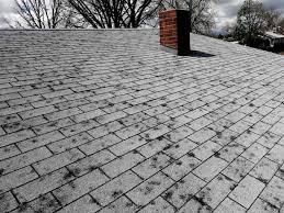 When you call and speak with a representative, give them the date the damage occurred and offer to send after you have filed the claim, you will be contacted about meeting with the adjuster. Denver Roof Insurance Claim Storm Damage Modern Roof Co