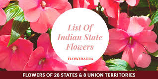 list of indian state flowers flowers