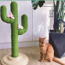 Pet supplies cat claw plate cat toysolid wood cat climbing frame luxury cat tree gripper toy cat house pet nest. Cactus Cat Climbing Frame Cat Scratch Board Vertical Cat Jumping Platform Cat Toy Cat Furniture 35x35x80cm Amazon Ca Home Kitchen