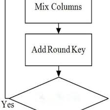 The Block Diagram Of The Randomizer Using 12 Stage