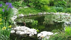 20 beautiful backyard pond ideas for