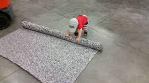 professional carpet installation