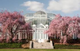 The New York Botanical Gardens A