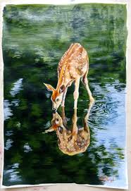 Deer drinks water in deep forest stream | Water painting, Deer painting,  Animal paintings acrylic