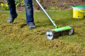 Lawn Care Calendar Gardening Tips For 2018 Turf Online