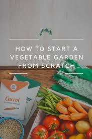Start A Vegetable Garden From Scratch