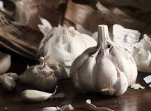 Garlic's golden secret: Power-packed benefits of raw, empty ...