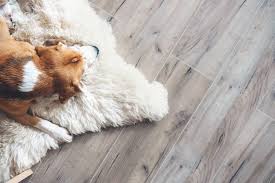 best tile flooring options for dogs