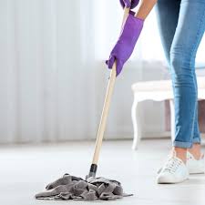 5 best mops for laminate floors the
