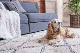 carpet repair mesa magic touch carpet
