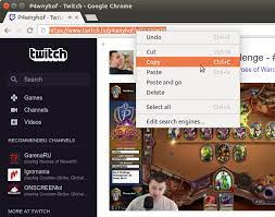 Twitch client software for windows. How To Download Gaming Streams From Twitch 4k Download