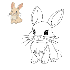 coloring book baby rabbit